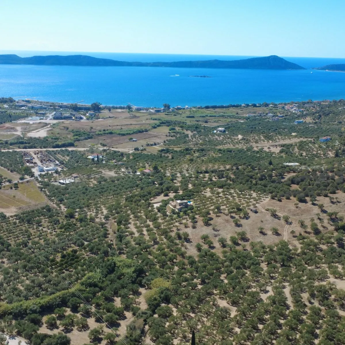 Messinia coast aerial view with olive groves