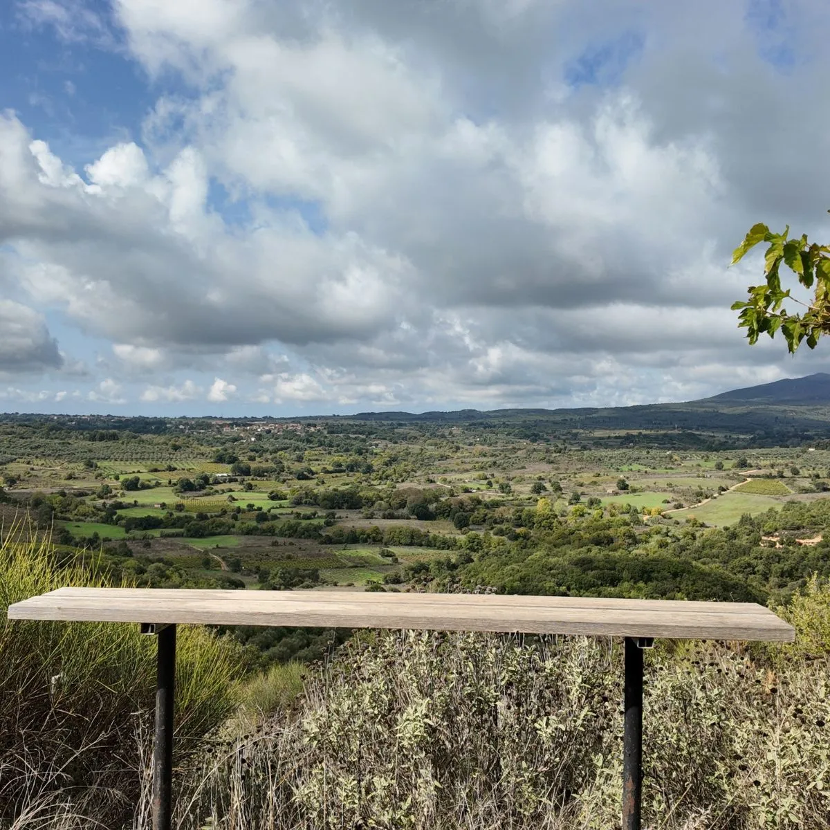 Rural Messinia landscape